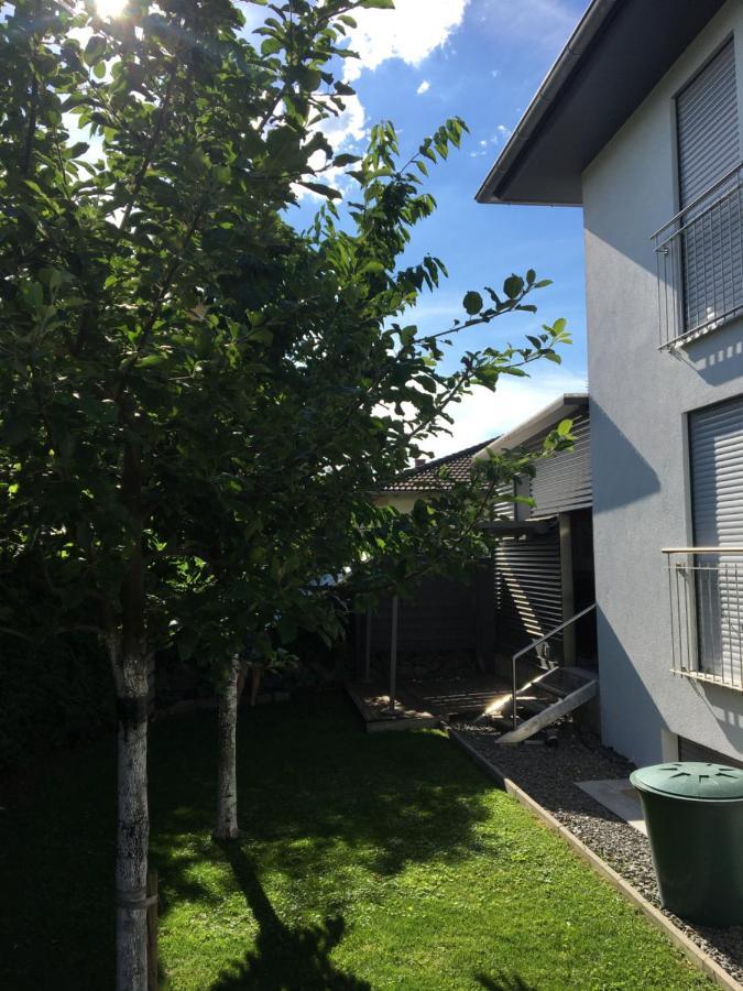 Peter'S Ferienwohnung Im Souterrain Neuried (Baden-Wurttemberg) Exterior foto